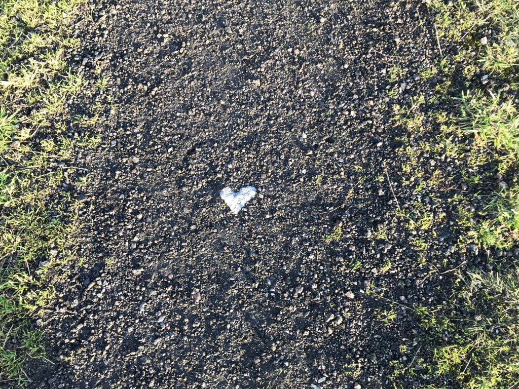 March 8: Flowers? Or&nbsp;rights?