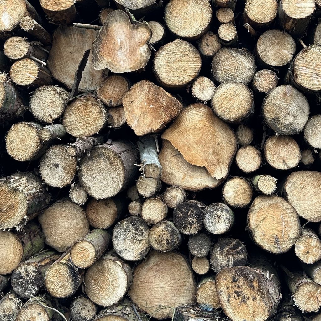 Deforestation: 
How Many Trees Are In My&nbsp;Clothes?