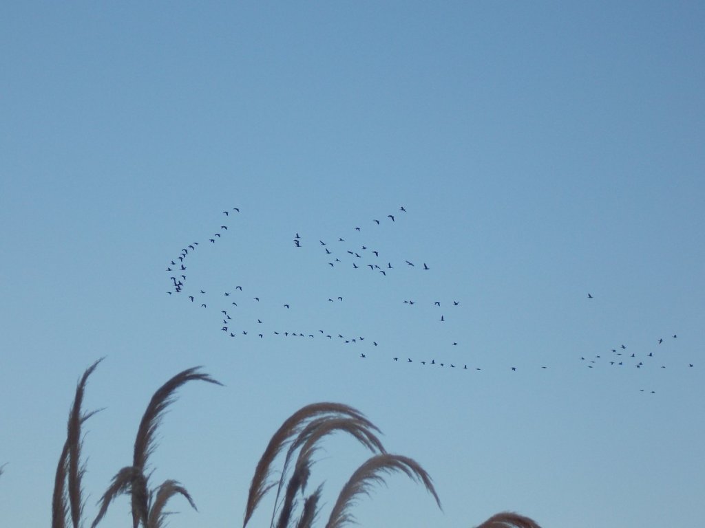 Fairtrade and Sustainability