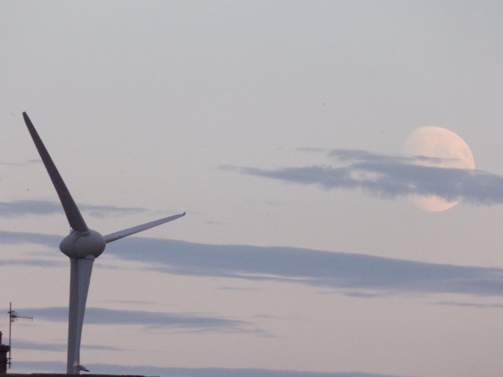 Responsible Consumer