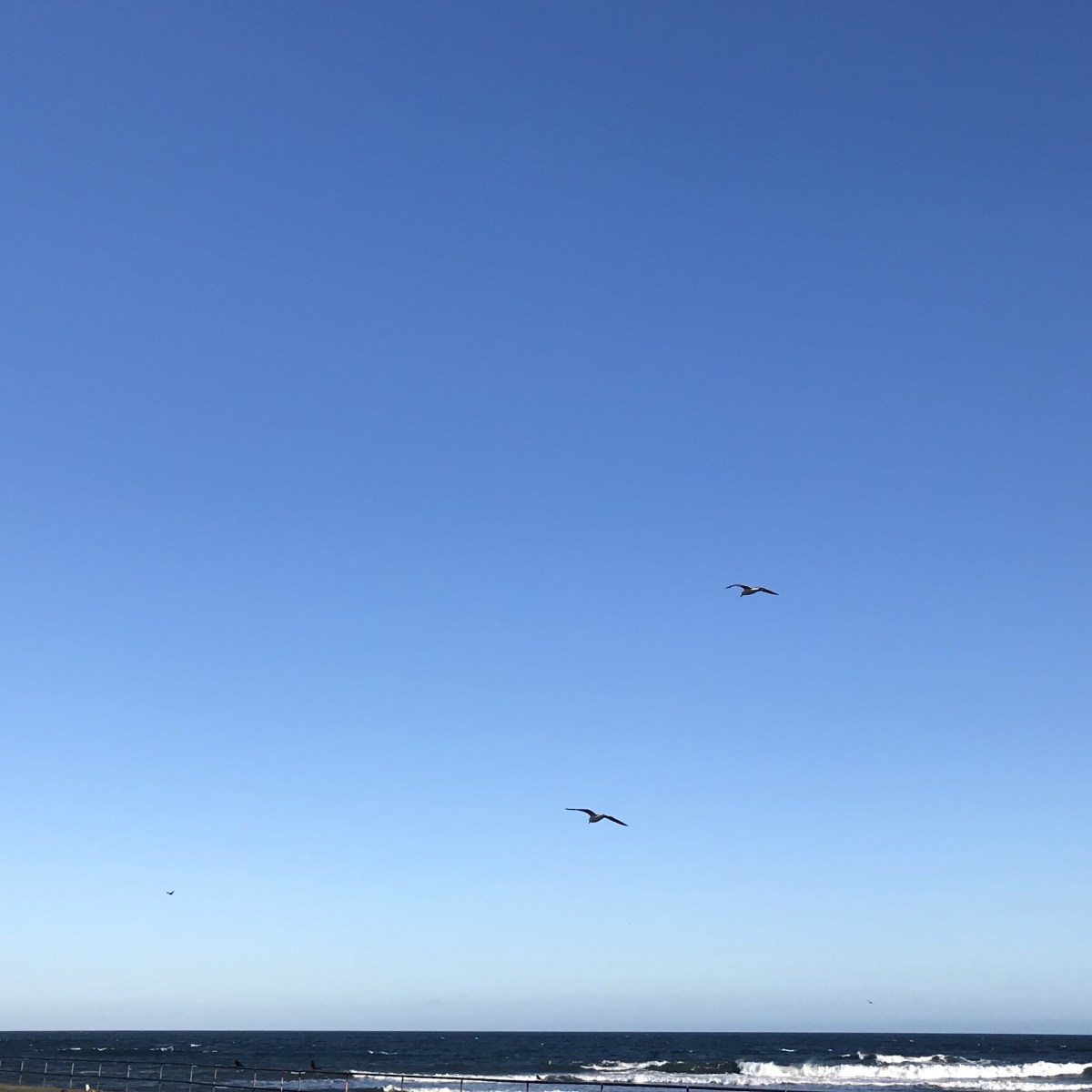 Microplastics – The New&nbsp;Sugar?