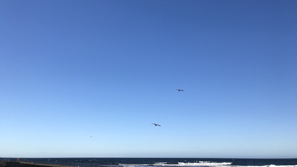 Microplastics – The New&nbsp;Sugar?